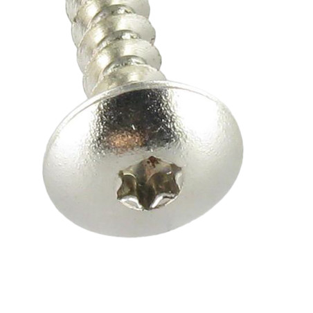 1 x Vis Penture 4.5X50 Filetage total TORX T20 Acier chrome