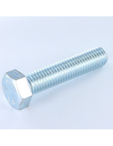 1 x Vis métaux Tête hexagonale TH M18X60 Classe...