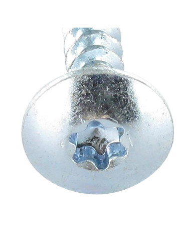 1 x Vis Penture 6X60 Filetage partiel TORX T30...