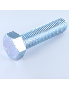 Vis métaux Tête hexagonale TH M22X100 Classe 8.8 Acier...