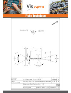Vis Penture 7X70 Filetée sur 40 TORX T30 Pointe... 2