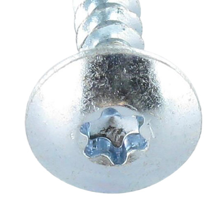 1 x Vis Penture 6X40 Filetage partiel TORX T30 Acier zingué