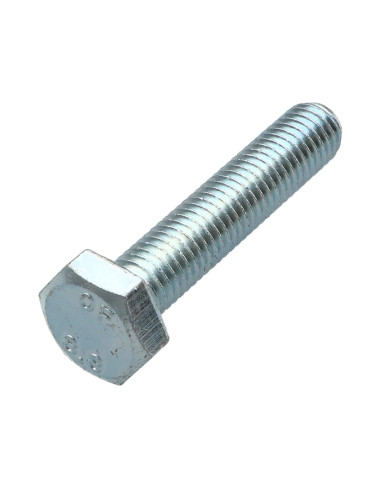1 x Vis métaux Tête hexagonale TH M10X45 Classe...