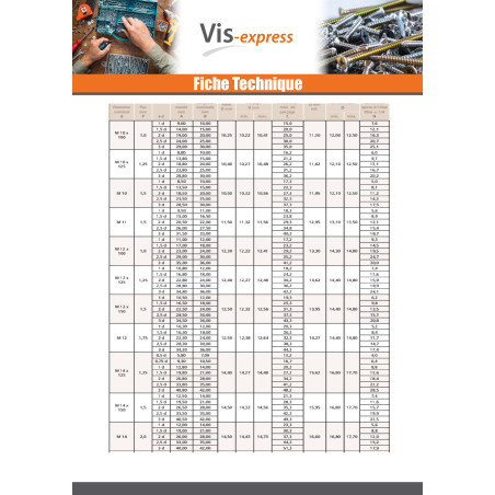 1 x Filet rapporté M10X20 Pas fin Pas de 100 Inox