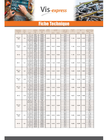 1 x Filet rapporté M22X22 Pas fin Pas de 150 Inox