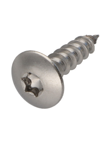 1 x Vis Penture 6X25 Filetage total TORX T30...