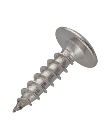 1 x Vis Penture 6X25 Filetage total TORX T30...