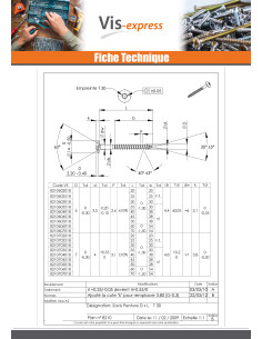 Vis Penture 7X50 Filetage total TORX T30 Inox A2 Laqué... 2