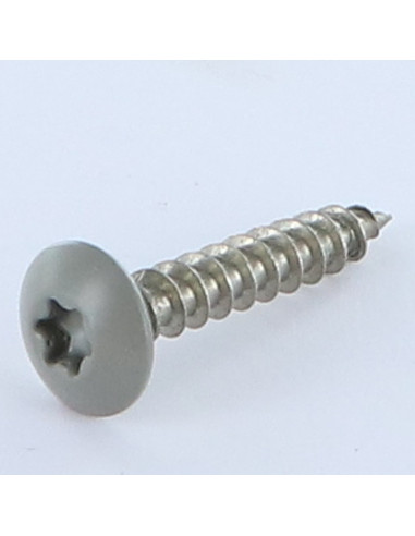 1 x Vis Penture 6X35 Filetée sur 30 TORX T30...