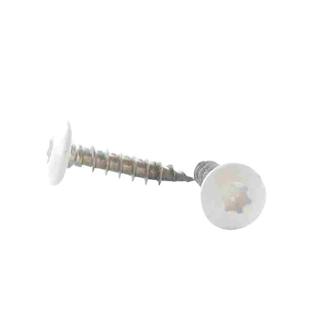 1 x Vis Penture 6X40 Filetée sur 38 TORX T30 Inox A2 LQBLC RAL9016 blanc signalisation
