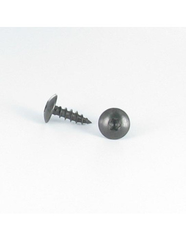 1 x Vis Penture 6X40 Filetée sur 38 TORX T30...