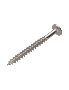 Vis Penture 7X70 Filetée sur 54 TORX T30 Inox A2 2