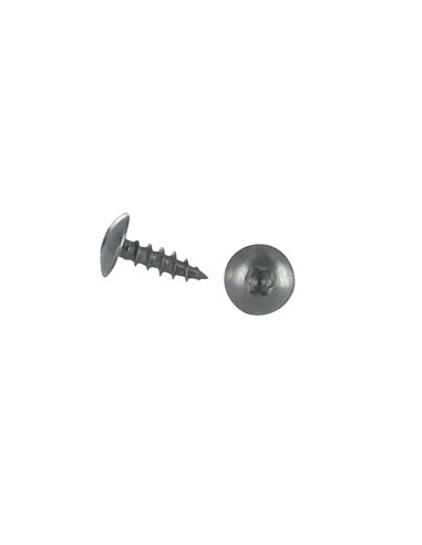1 x Vis Penture 6X20 Filetage total TORX T30...