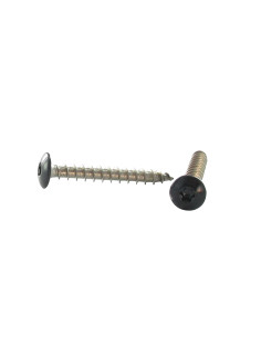 Vis Penture 7X30 TORX T30 Inox A2 Noir RAL9005 noir foncé...