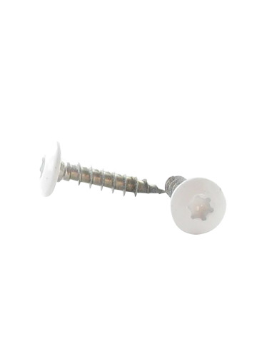1 x Vis Penture 6X30 Filetage total TORX T30...