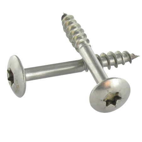 1 x Vis Penture 7X50 Filetée sur 38 TORX T30 Inox A2