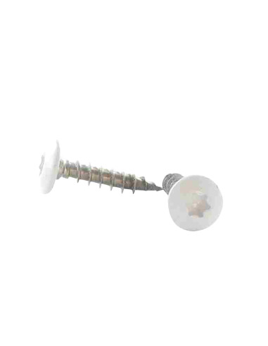 1 x Vis Penture 6X25 Filetage total TORX T30...