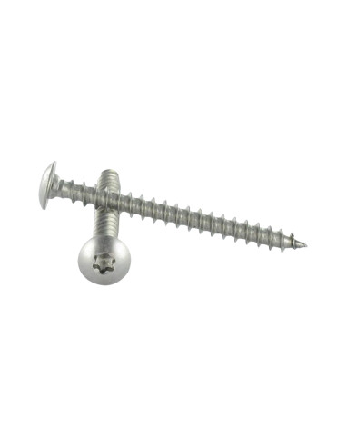 1 x Vis Penture 6X20 Filetage total TORX T30...