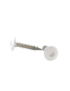Vis Penture 7X45 Filetée sur 38 TORX T30 Inox A2 Laqué...