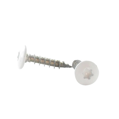 1 x Vis Penture 7X45 Filetée sur 38 TORX T30 Inox A2 Laqué blanc RAL9010 blanc pur