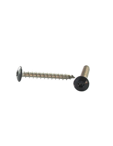 1 x Vis Penture 6X30 Filetage total TORX T30...