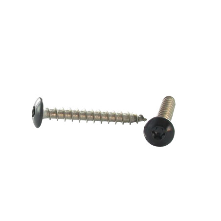 1 x Vis Penture 6X30 Filetage total TORX T30 Inox A2 Laqué noir RAL9005 noir foncé