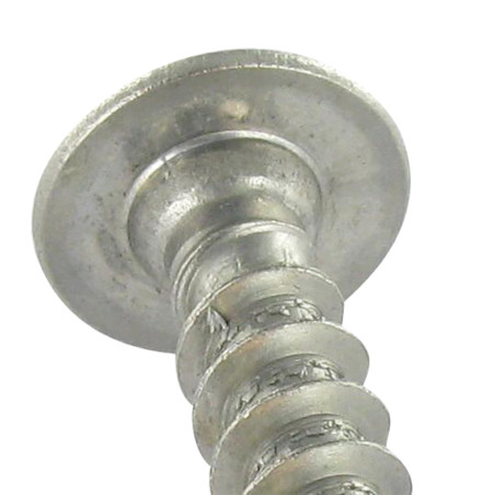 1 x Vis Penture 5X32 Filetage total TORX T20 Inox A2