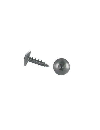1 x Vis Penture 6X30 Filetage total TORX T30...