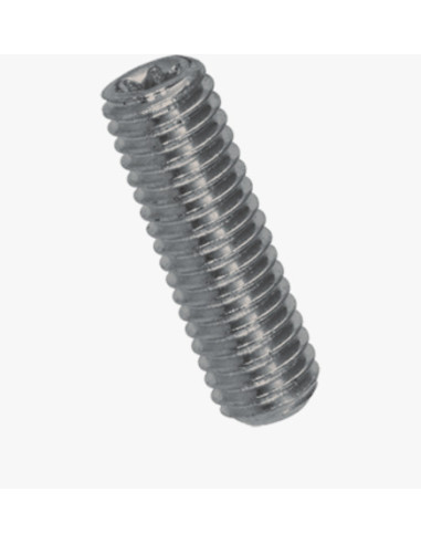1 x Vis métaux Sans tête T6 Bout cuvette M3X4...