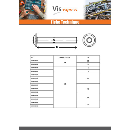 1 x Vis métaux BHC (Tête Bombée Hexagonal creux) Embase collerette M6X10 Clé de 4 HC4 Classe 10.9 Acier zingué noir