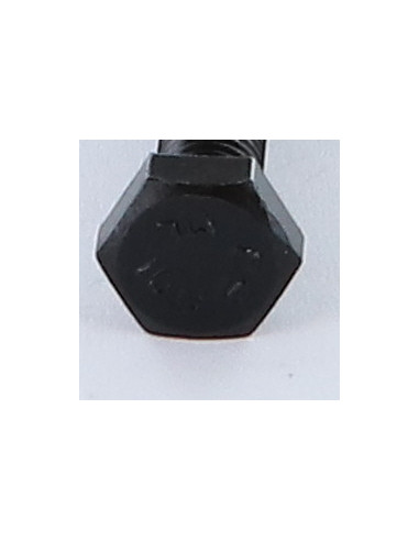 1 x Vis métaux Tête hexagonale TH M22X70 Classe...