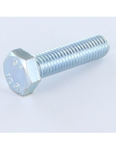 Vis métaux Tête hexagonale TH M14X25 Classe 10.9 Acier...