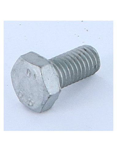 1 x Vis métaux Tête hexagonale TH M10X25 Classe...