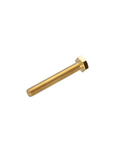 1 x Vis métaux Laiton Tête hexagonale TH M10X70