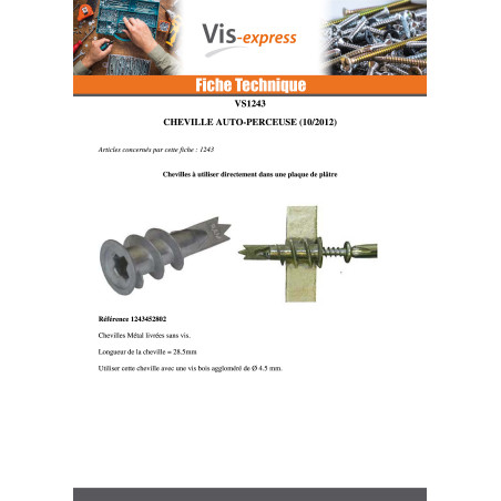 1 x Cheville METAL Vis autoperceuse RAWL 13X31 Avec Vis