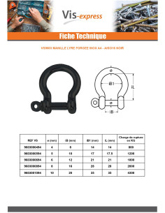 Manille LYRE Forgée Inox A4 Noir Diamètre 5 2
