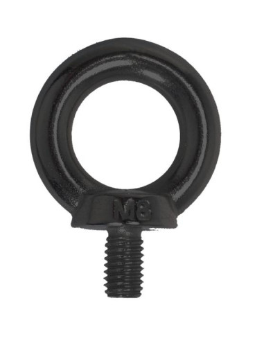 1 x Vis Anneau de levage M10X45 Inox A4 Noir