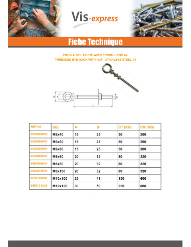 1 x Piton à Oeil Fileté M8X60 Avec Ecrou Inox A4