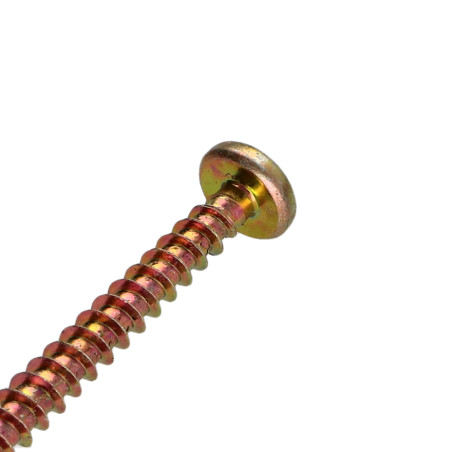 1 x VBA Vis bois agglo Tête ronde TR Pozi N°2 5X60 Bichromaté
