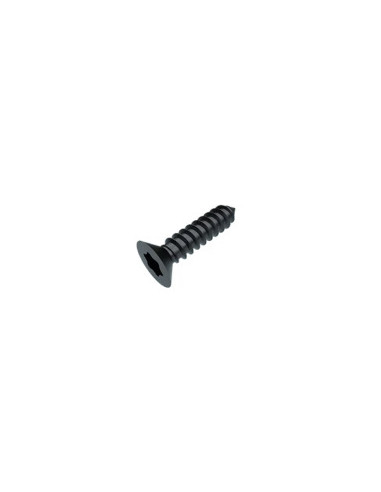 1 x Vis tôle Tête fraisée TORX T25 4.8X13 Acier...
