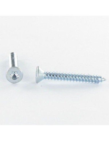 1 x Vis tôle Tête fraisée TORX T30 6.3X32 Acier...