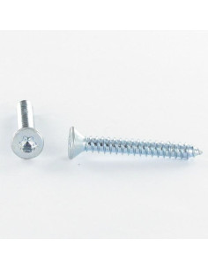 Vis tôle Tête fraisée TORX T30 6.3X50 Acier zingué