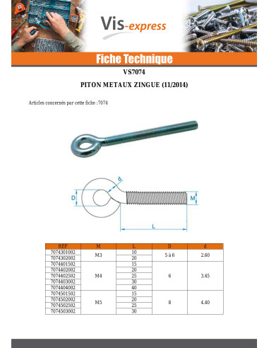 1 x Piton Métaux M6X100 Diamètre Oeil 10 Acier...