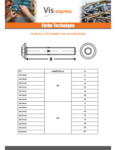 Vis métaux Tête bombée Embase collerette TORX T40 M8X20... 2