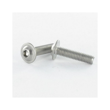 1 x Vis métaux Tête bombée Embase collerette TORX T25 M5X6 Classe 10.9 Acier zingué