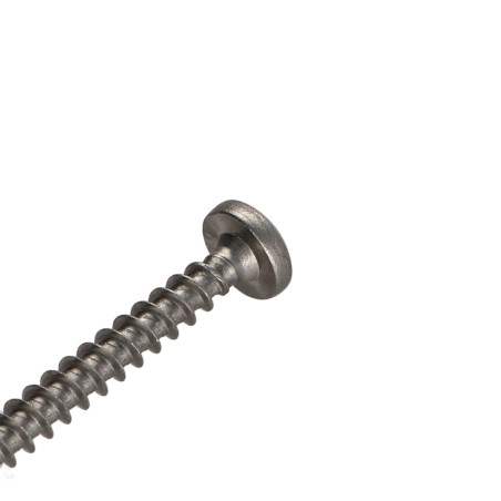 1 x VBA Vis bois agglo Inox A2 Tête ronde TR Pozi 6X80