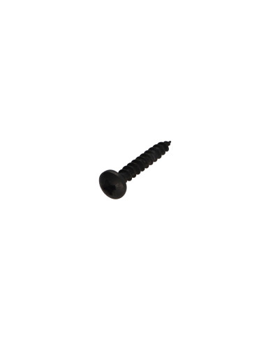 1 x VBA Vis bois agglo Inox A2 Noir Tête ronde...