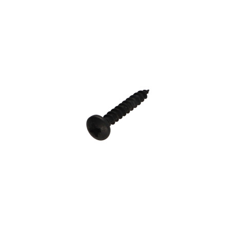 1 x VBA Vis bois agglo Inox A2 Noir Tête ronde TR Pozi 4X25