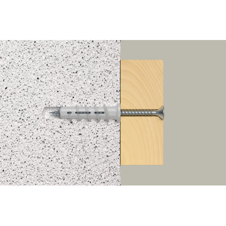 1 x Cheville Nylon Fischer FTP K 10