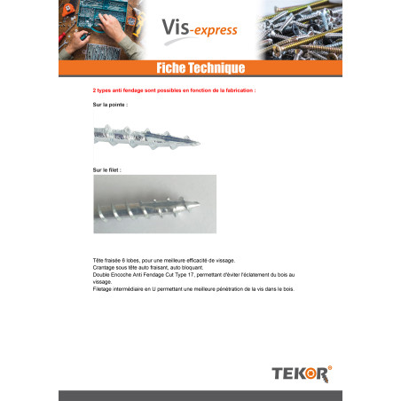 1 x Vis charpente TEKOR Tête fraisée Cranté TORX T30 6X100 Filetée sur 60 Pointe antifendage type 17 Acier zingué